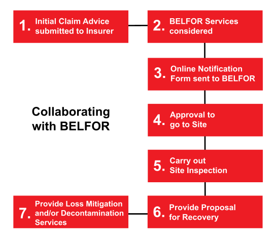 How BELFOR works with you?