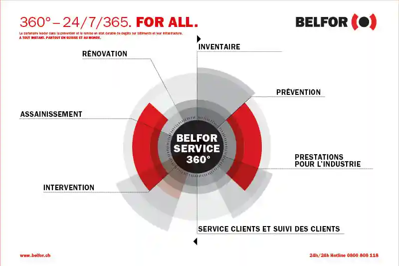 BELFOR 360°