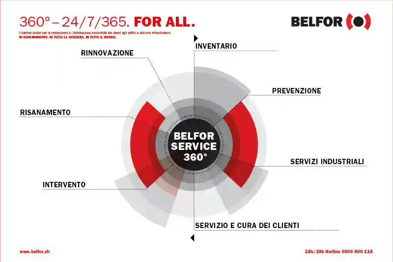 BELFOR 360°