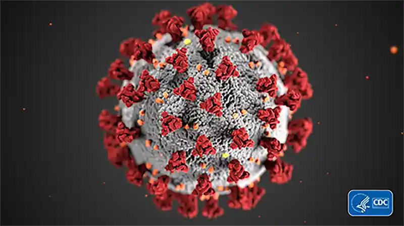 coronavirus cdc