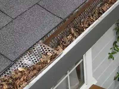 Gutter guards