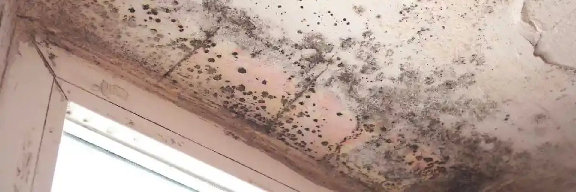 Mold on window frame